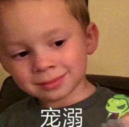 娱乐圈吃瓜爆料张继科,揭秘背后的真相与争议