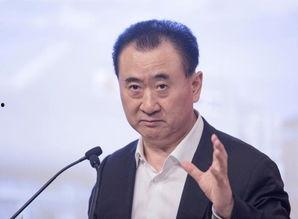 娱乐吃瓜酱王健林