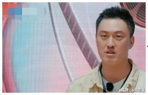 娱乐圈老瓜新吃,老瓜新吃，揭秘明星幕后故事